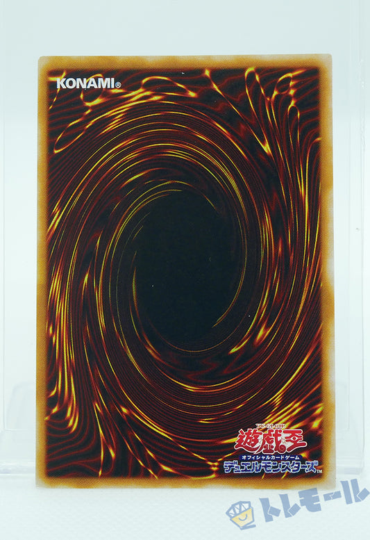 カース・オブ・ドラゴン 初期 - ノーマル【B】