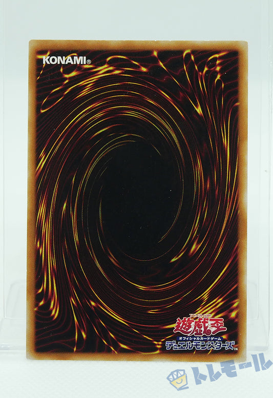 ブルーアイズ・トゥーン・ドラゴン - シークレットレア【B】